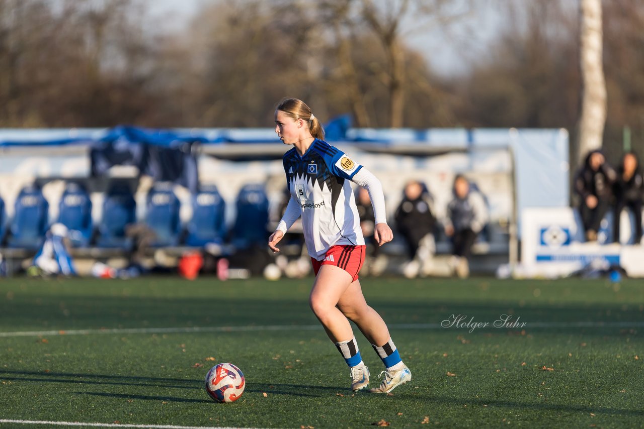 Bild 229 - wBJ Hamburger SV - Holstein Kiel : Ergebnis: 8:0